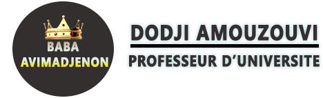 Professeur Dodji AMOUZOUVI BABA AVIMADJENON Logo